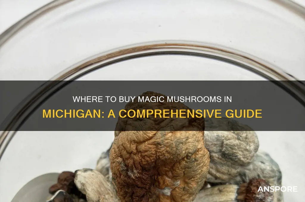 where can you buy magic mushrooms in michigan