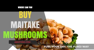 Discover Top Sources to Buy Maitake Mushrooms Online & Locally