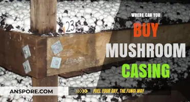 Where to Buy Mushroom Casing: Top Sources for Growers