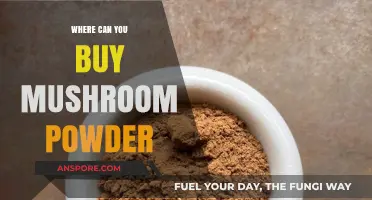 Discover the Best Places to Buy Mushroom Powder Online & In-Store