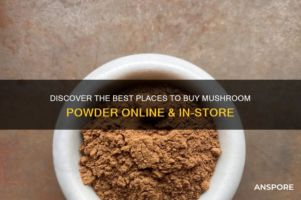 where can you buy mushroom powder