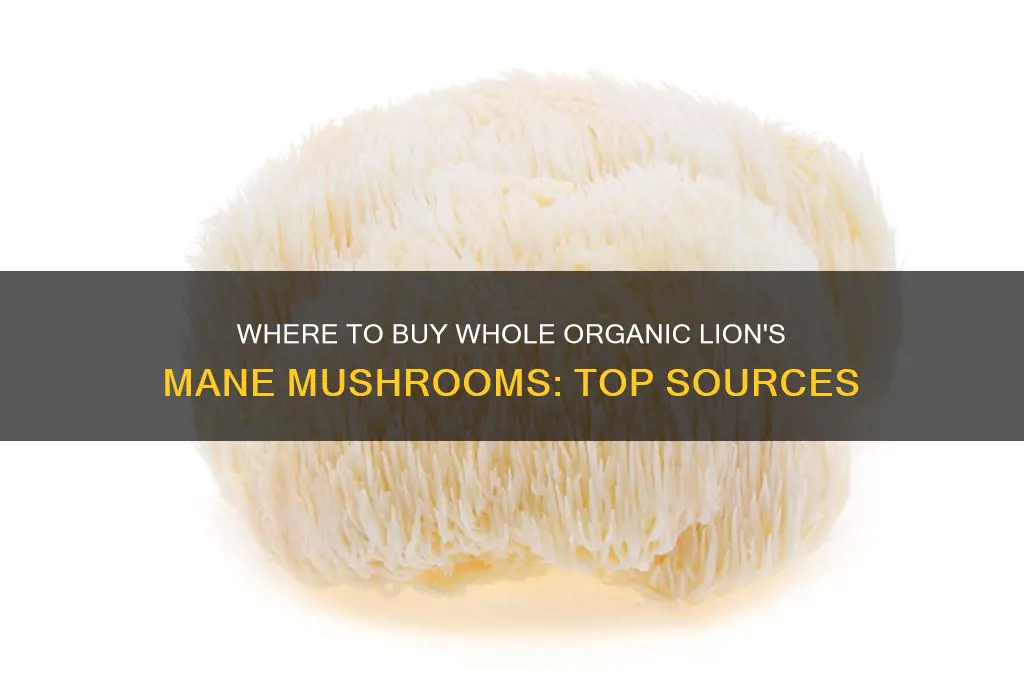 where can you buy whole organic lion