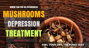 Exploring Psychedelic Mushrooms for Depression: Where to Seek Treatment
