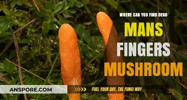 Discovering Dead Man's Fingers Mushrooms: Locations and Identification Tips