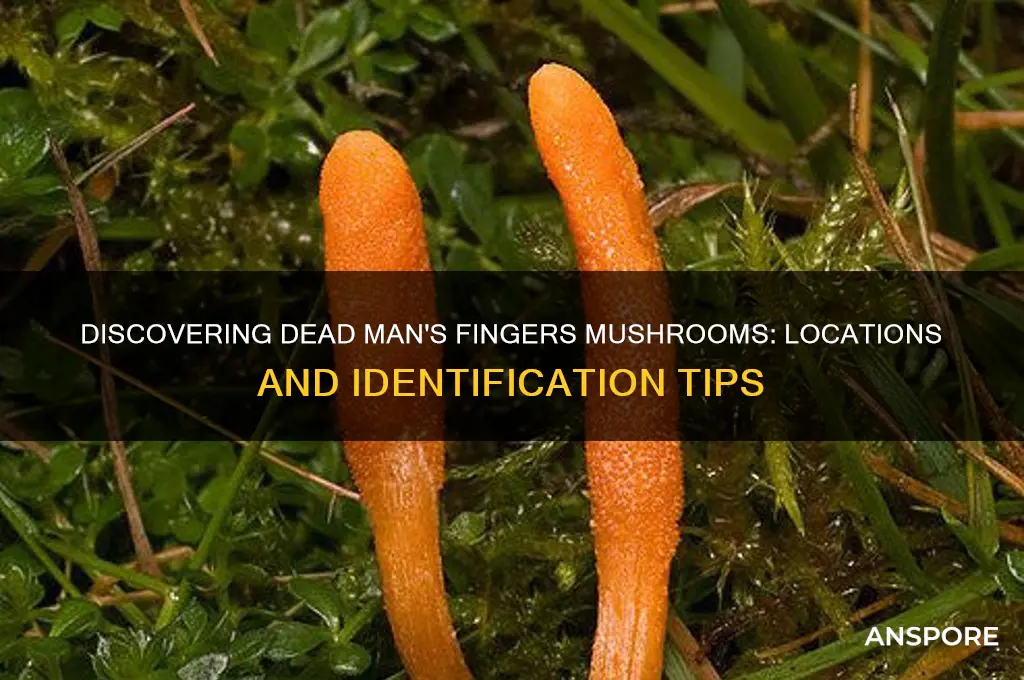 where can you find dead mans fingers mushrooms