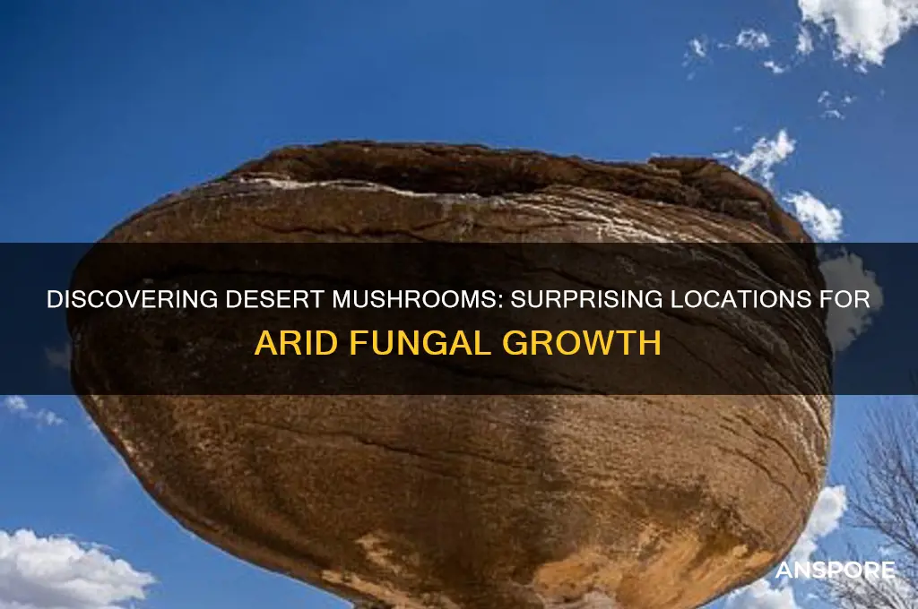 where can you find desert mushrooms