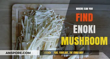 Discovering Enoki Mushrooms: Top Locations to Find This Delicate Fungus