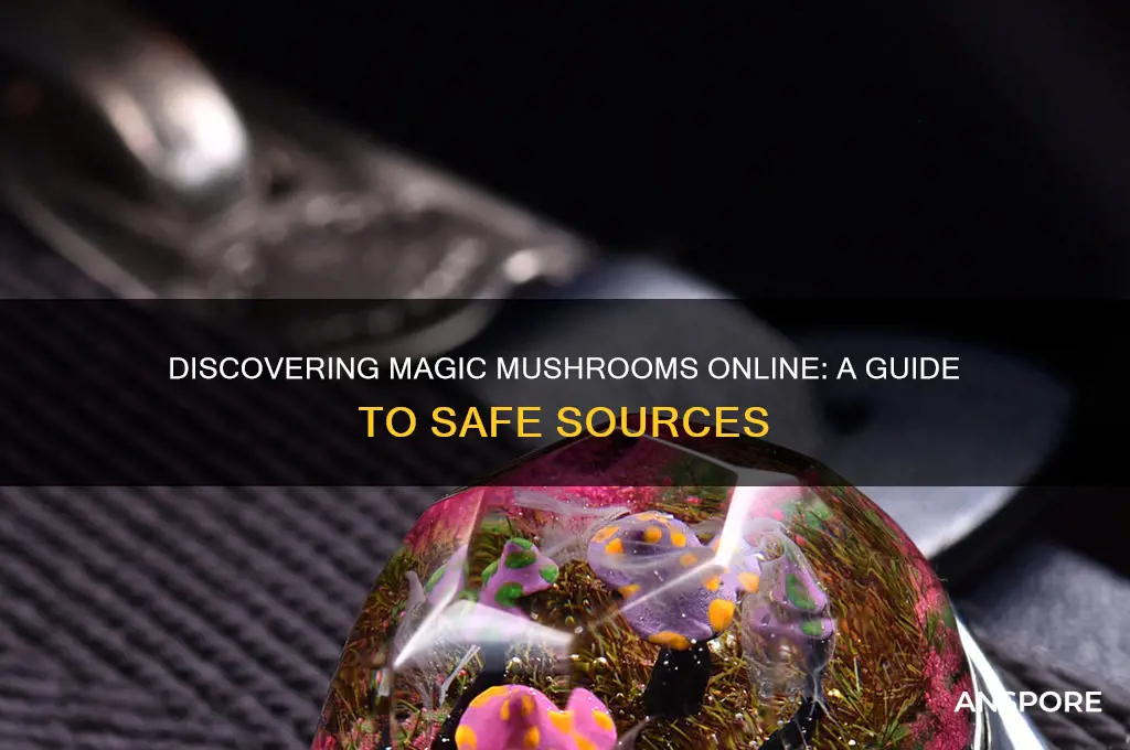 where can you find magic mushrooms on line