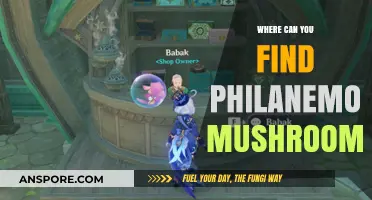 Discovering Philanemo Mushrooms: Top Locations to Find This Rare Fungus