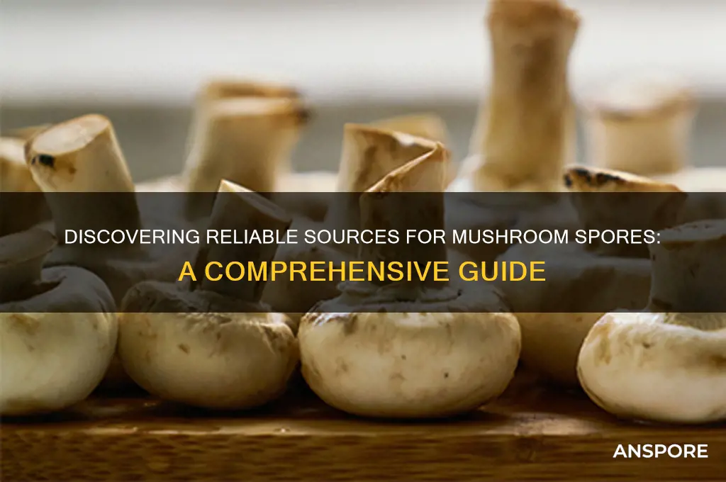 where can you get mushroom spores