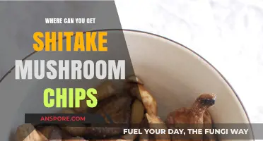 Discover the Best Places to Buy Shiitake Mushroom Chips