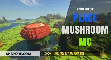 Creative Spots to Place Mushrooms in Minecraft for Unique Builds