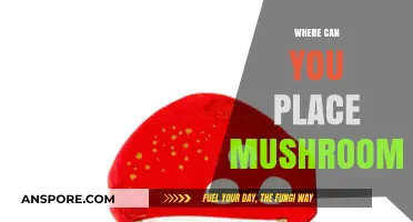 Creative Spots to Place Mushrooms in Your Home and Garden