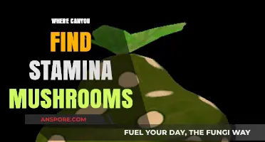 Discover Stamina Mushrooms: Top Locations to Find These Energy-Boosting Fungi