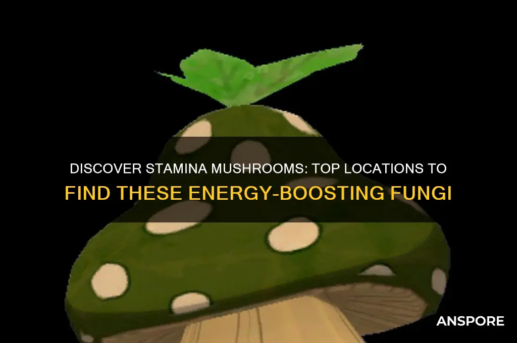where canyou find stamina mushrooms
