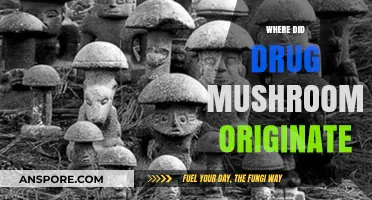 The Origin Story of Psychedelic Mushrooms