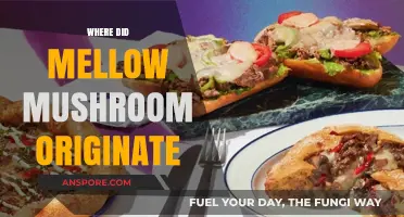 Mellow Mushroom's Southern Roots: A Pizza Story