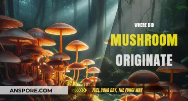 Mushroom Origins: A Historical Perspective