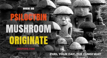 The Origin Story of Magic Mushrooms