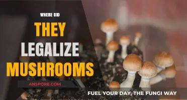 Where Magic Mushrooms Are Legal: A Global Guide to Psilocybin Laws