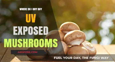 Where to Buy UV-Exposed Mushrooms: A Comprehensive Guide