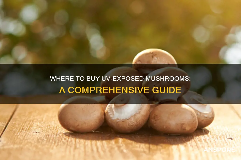 where do i buy buy uv exposed mushrooms