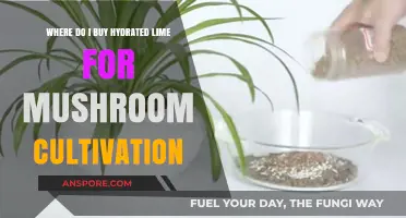 Where to Buy Hydrated Lime for Mushroom Cultivation: A Guide