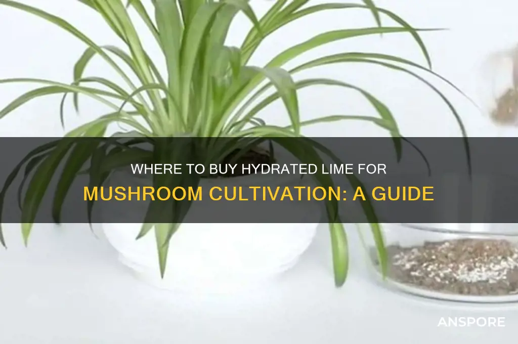 where do i buy hydrated lime for mushroom cultivation