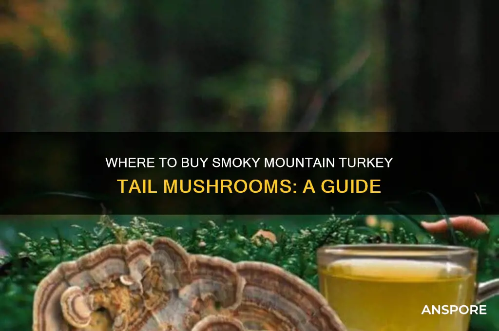 where do i buy smoky mountain turkey tail mushrooms