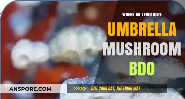 Discovering Blue Umbrella Mushrooms in BDO: Locations and Tips