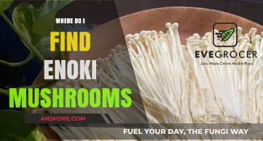 Discovering Enoki Mushrooms: Where to Find and Buy Them Easily