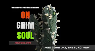 Grim Soul Mushroom Hunting: Best Locations to Find Fungi Fast