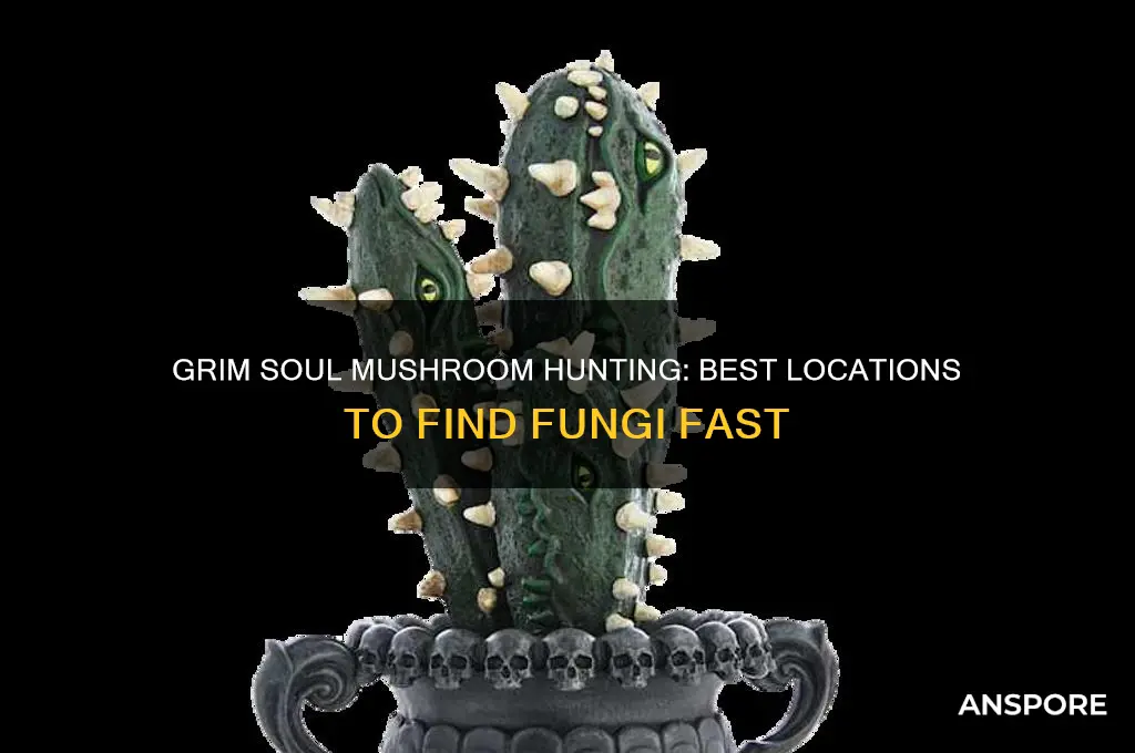 where do i find mushrooms on grim soul