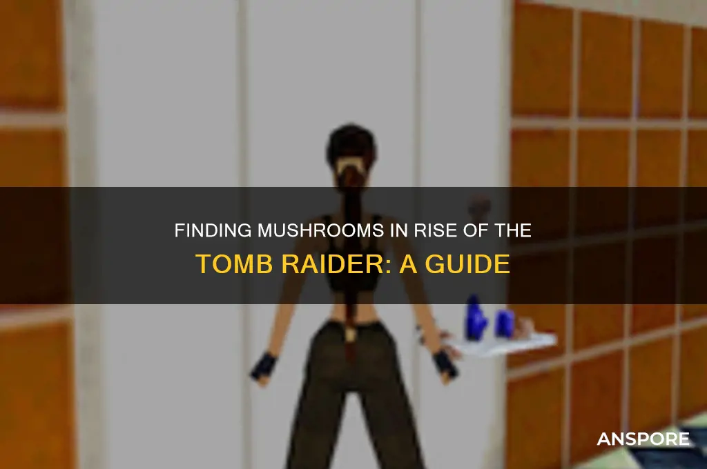 where do i find mushrooms rise of the tomb raider