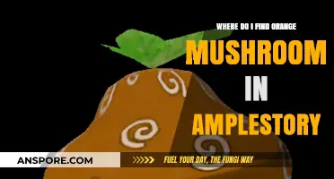 Finding Orange Mushrooms in Amplestory: Top Locations and Tips