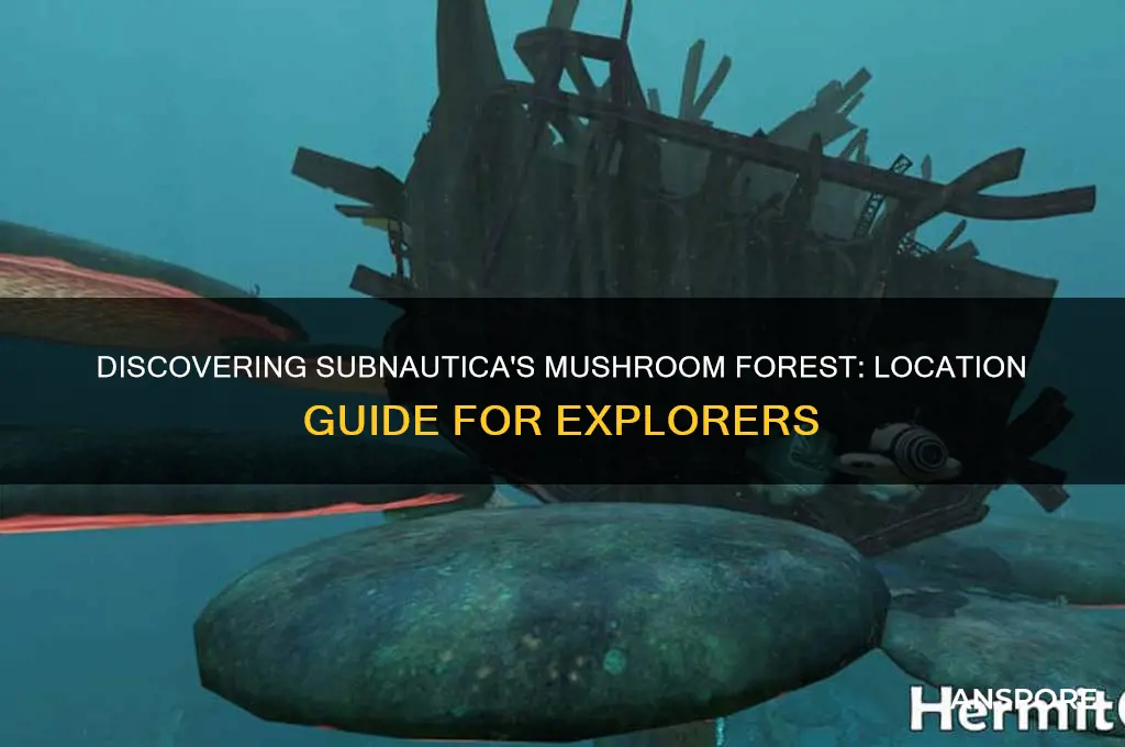 where do i find the mushroom forest in subnautica