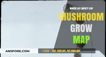 Liberty Cap Mushrooms: Global Growth Map and Habitat Guide