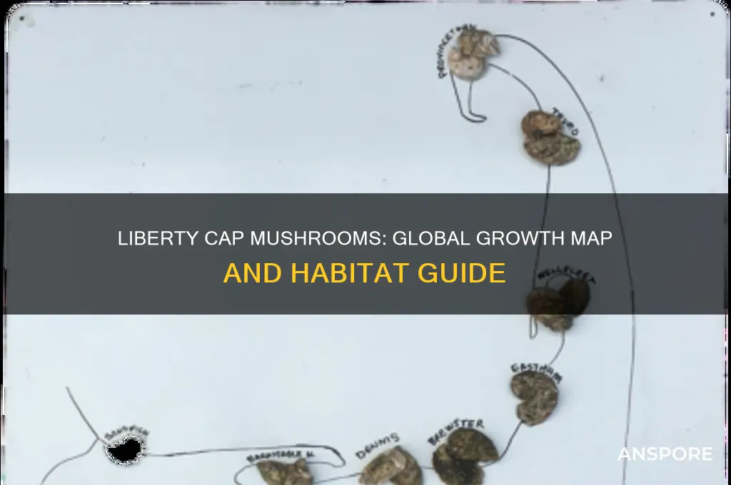 where do liberty cap mushrooms grow map