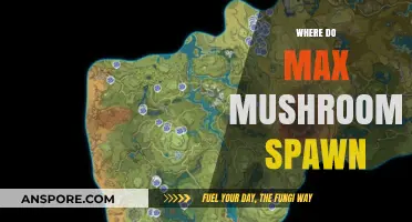Finding Max Mushrooms: Spawn Locations and Tips