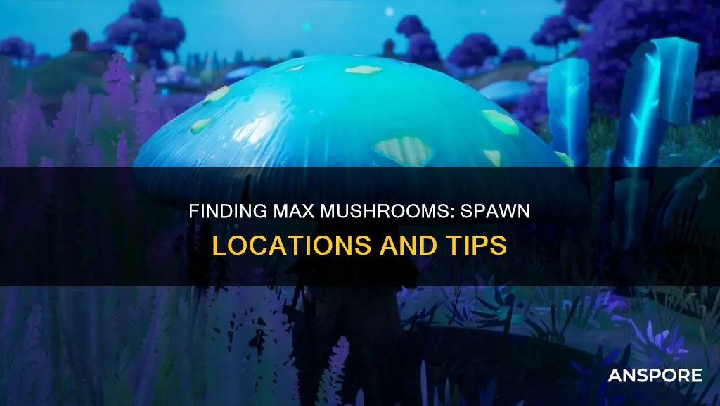where do max mushrooms spawn