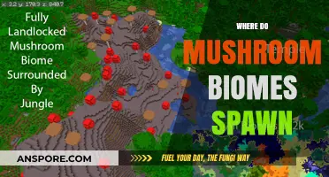 Mushroom Biomes: Where and How They Spawn
