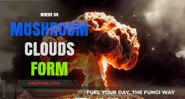 The Formation of Mushroom Clouds: A Nuclear Legacy