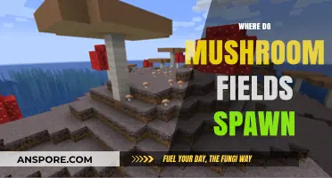 Finding Mushroom Fields in Minecraft: Where Do They Spawn?