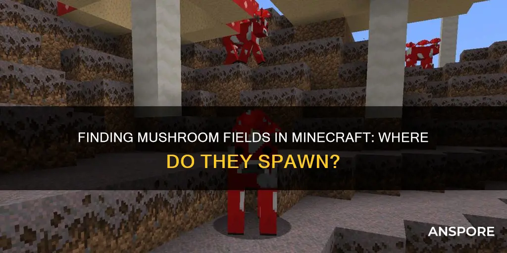where do mushroom fields spawn