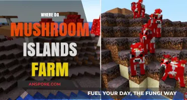 Mushroom Islands: Where and How to Farm Them?