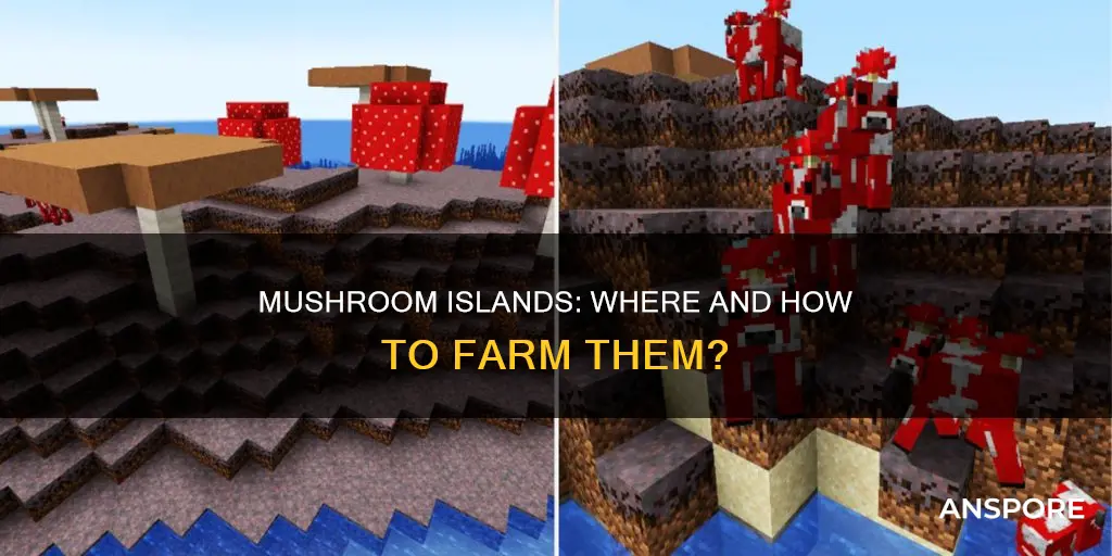 where do mushroom islands farm