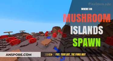 Finding Mushroom Islands in Minecraft