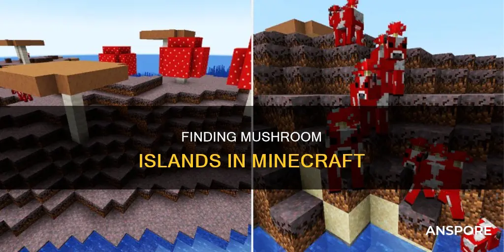 where do mushroom islands spawn