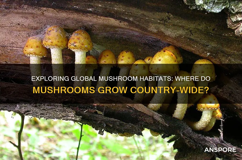 where do mushrooms grow country