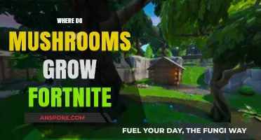 Fortnite Mushroom Locations: Where to Find and Harvest Mushrooms Fast
